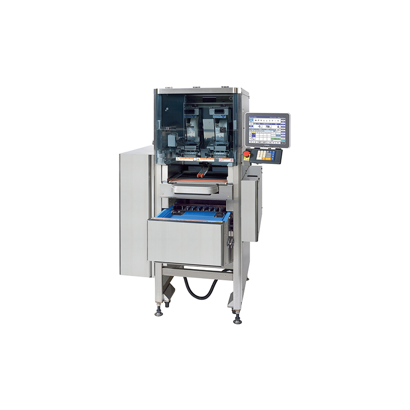 EMPAQUETADORA WM-AI AS1