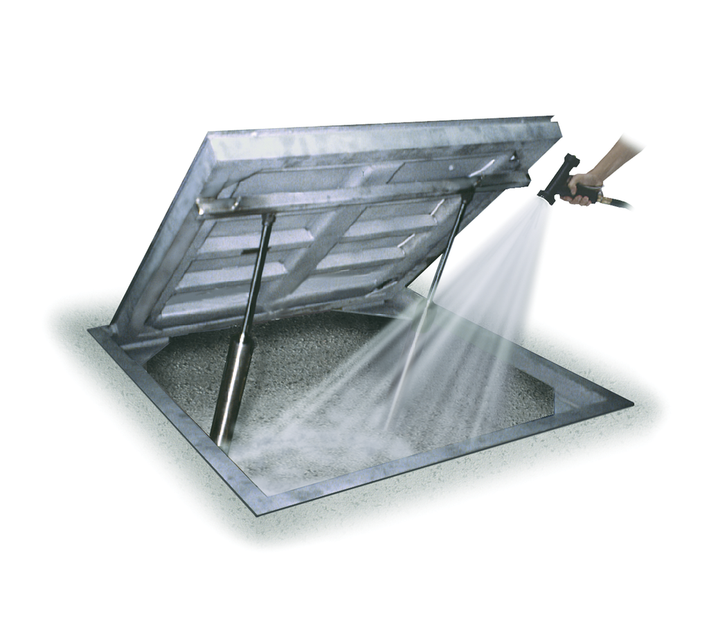 Bascula plataforma acero inoxidable Rice Lake Autolift
