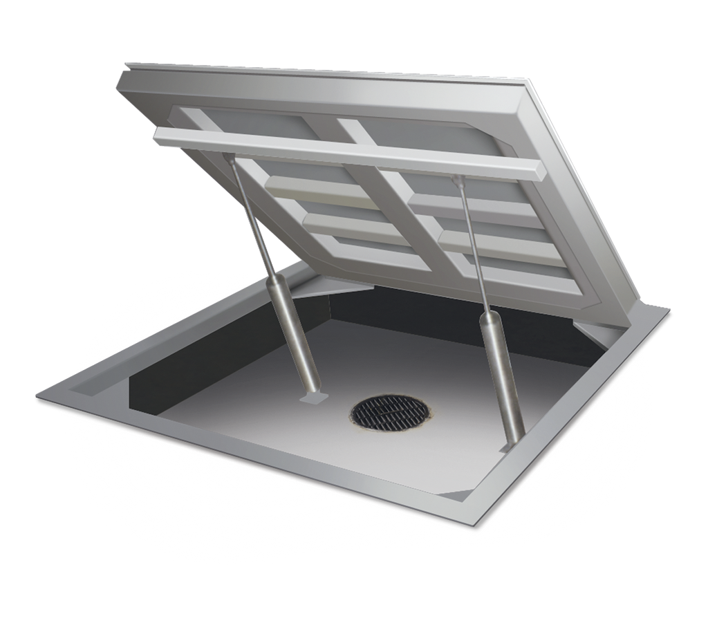 Bascula plataforma acero inoxidable Rice Lake Autolift