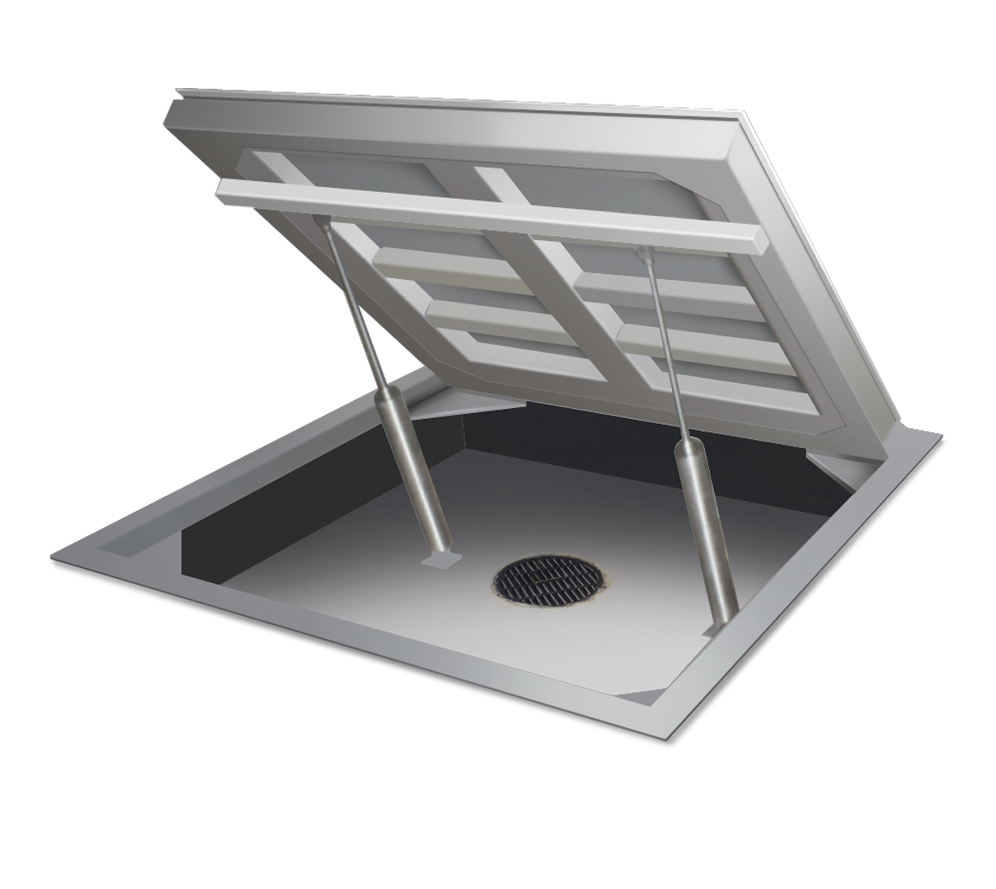 Bascula plataforma acero inoxidable Rice Lake Autolift