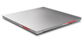 Bascula plataforma acero inoxidable Rice Lake Roughdeck